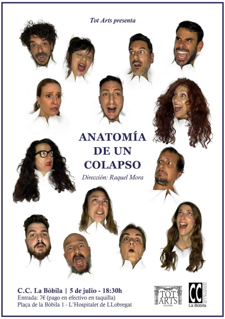 Anatomía de un colapso